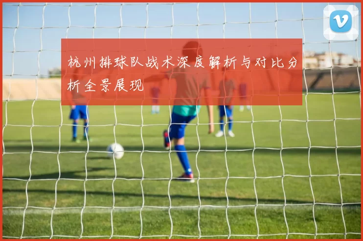 杭州排球队战术深度解析与对比分析全景展现