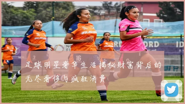 足球明星奢华生活揭秘财富背后的无尽奢侈与疯狂消费