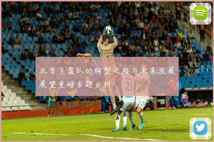 北京飞盘队的转型之路与未来发展展望重磅专题分析