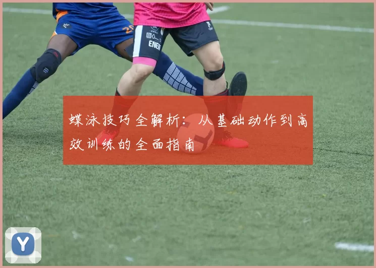 蝶泳技巧全解析：从基础动作到高效训练的全面指南