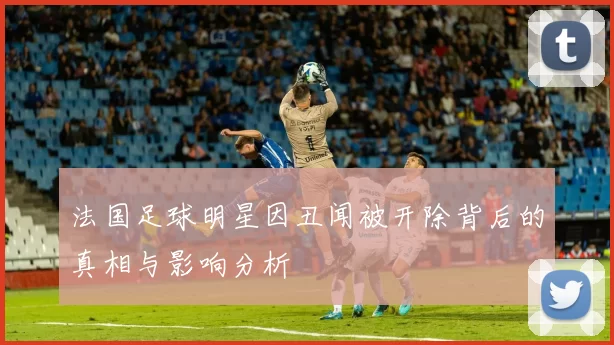 法国足球明星因丑闻被开除背后的真相与影响分析