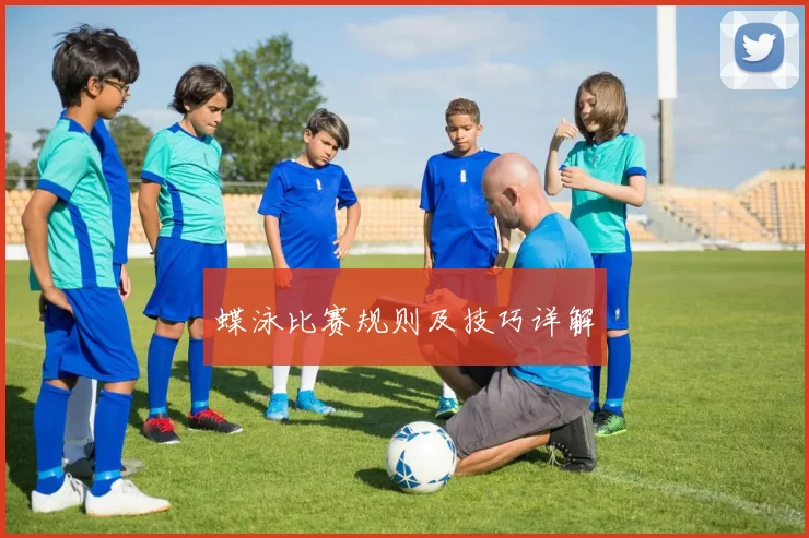 蝶泳比赛规则及技巧详解