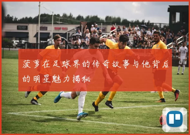 菠萝在足球界的传奇故事与他背后的明星魅力揭秘