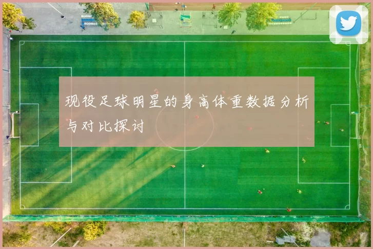 现役足球明星的身高体重数据分析与对比探讨