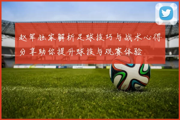 赵军独家解析足球技巧与战术心得分享助你提升球技与观赛体验