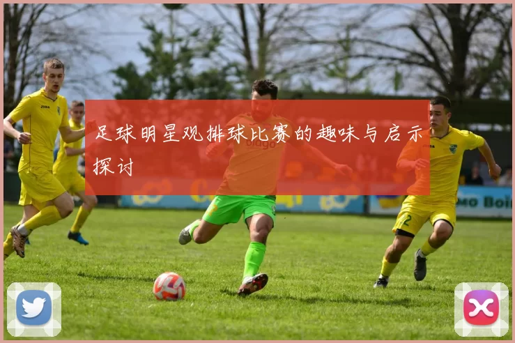 足球明星观排球比赛的趣味与启示探讨