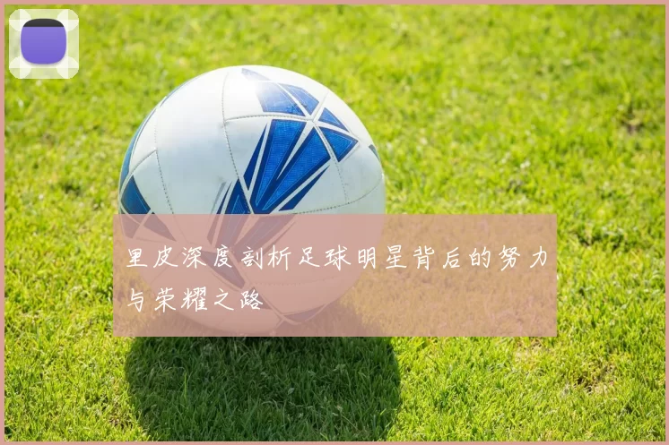 里皮深度剖析足球明星背后的努力与荣耀之路
