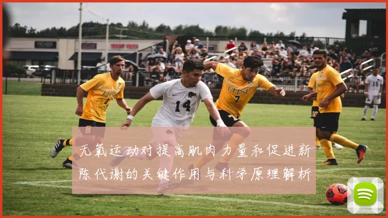 无氧运动对提高肌肉力量和促进新陈代谢的关键作用与科学原理解析