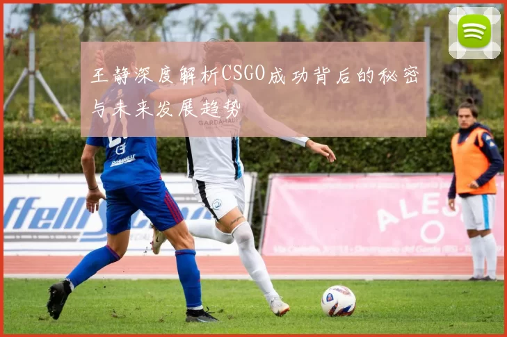 王静深度解析CSGO成功背后的秘密与未来发展趋势