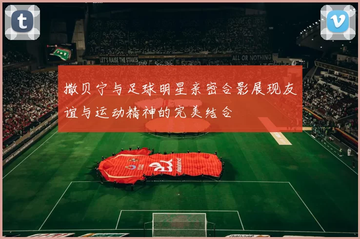 撒贝宁与足球明星亲密合影展现友谊与运动精神的完美结合