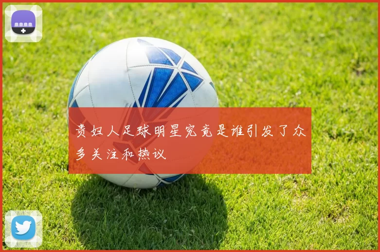 贵妇人足球明星究竟是谁引发了众多关注和热议