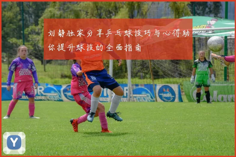 刘静独家分享乒乓球技巧与心得助你提升球技的全面指南