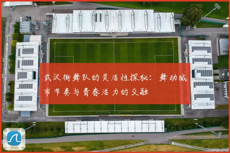 武汉街舞队的灵活性探秘：舞动城市节奏与青春活力的交融