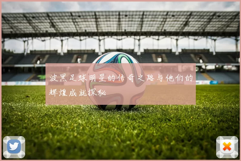 波黑足球明星的传奇之路与他们的辉煌成就探秘