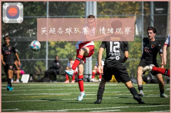 英超各球队赛季情绪观察