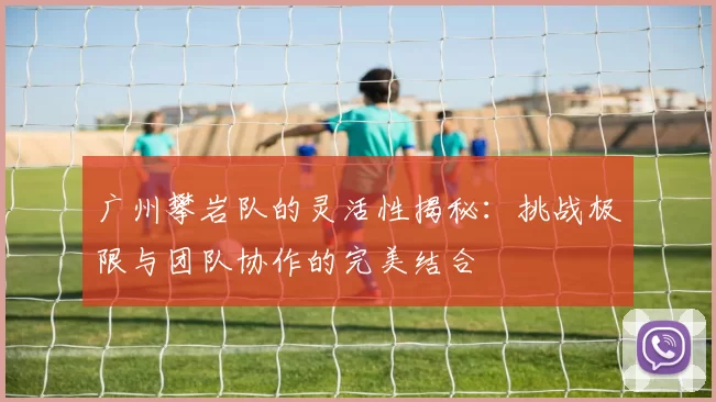 广州攀岩队的灵活性揭秘：挑战极限与团队协作的完美结合