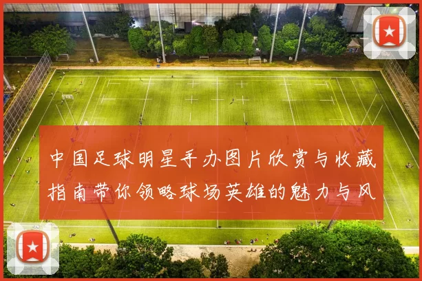 中国足球明星手办图片欣赏与收藏指南带你领略球场英雄的魅力与风采