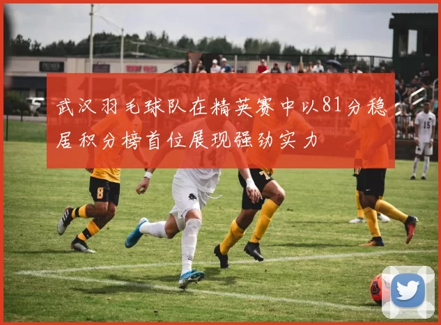 武汉羽毛球队在精英赛中以81分稳居积分榜首位展现强劲实力