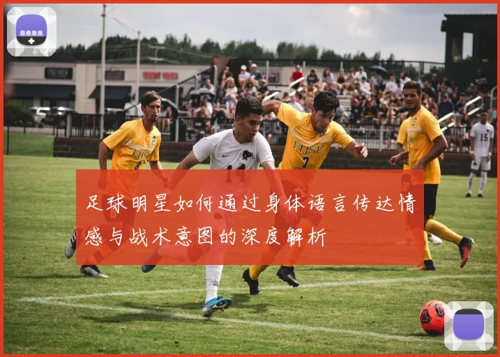 足球明星如何通过身体语言传达情感与战术意图的深度解析