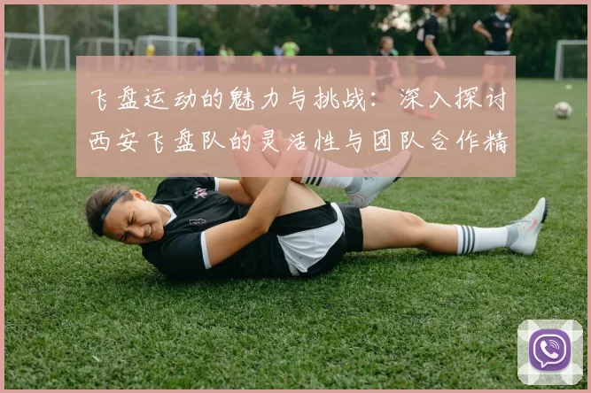 飞盘运动的魅力与挑战：深入探讨西安飞盘队的灵活性与团队合作精神