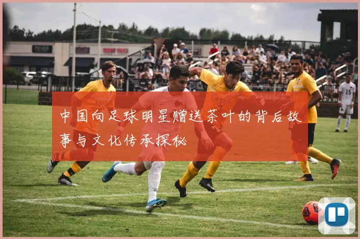 中国向足球明星赠送茶叶的背后故事与文化传承探秘