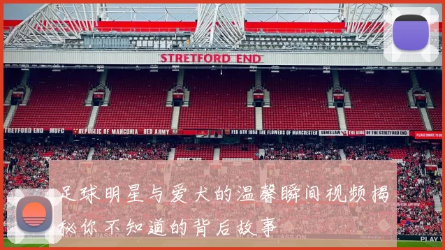 足球明星与爱犬的温馨瞬间视频揭秘你不知道的背后故事