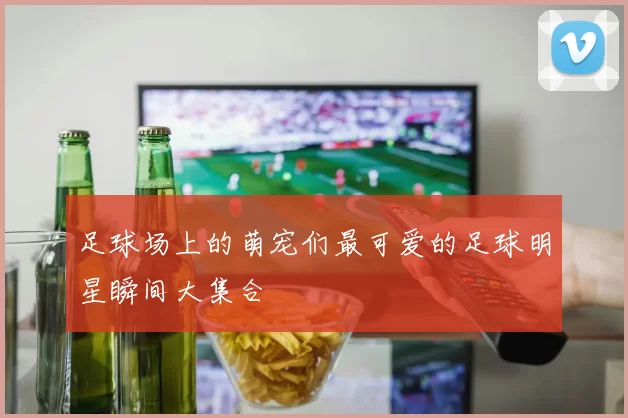 足球场上的萌宠们最可爱的足球明星瞬间大集合