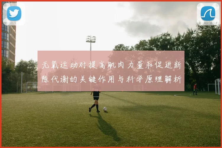 无氧运动对提高肌肉力量和促进新陈代谢的关键作用与科学原理解析