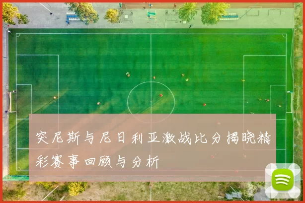 突尼斯与尼日利亚激战比分揭晓精彩赛事回顾与分析