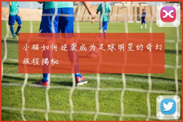 小猫如何逆袭成为足球明星的奇幻旅程揭秘